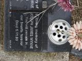 image of grave number 847116